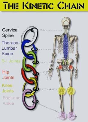 the kinetic chain